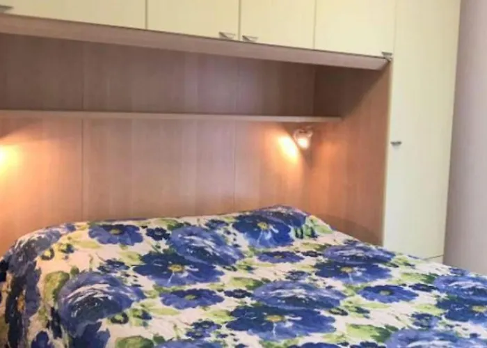 Apartment In Close To The *